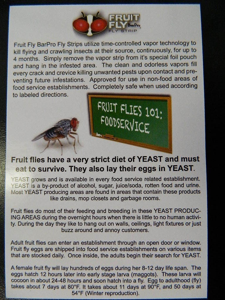 FRUIT FLY BAR PRO KILLS FRUIT FLIES CASE/10 EFFECTIVE UP TO 4 MONTHS COCKROACHES